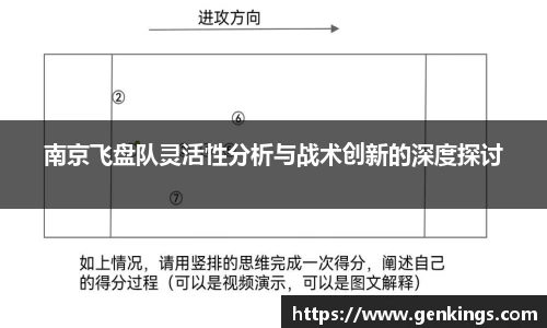 南京飞盘队灵活性分析与战术创新的深度探讨